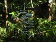 Click for large version